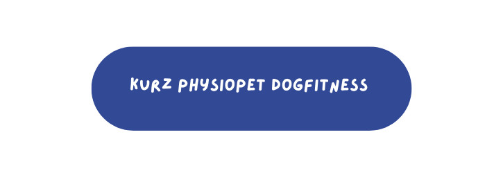 PHYSIOPET dogfitness